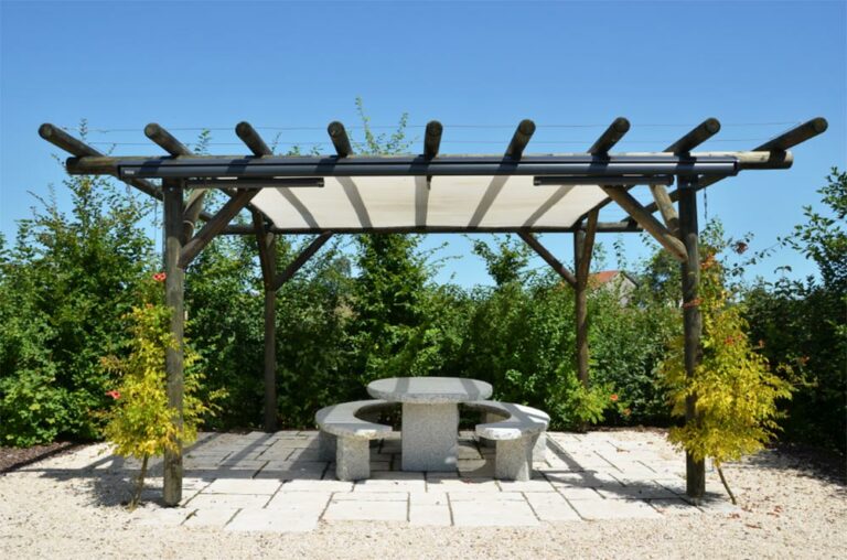 Best Plants for Your Pergola Area