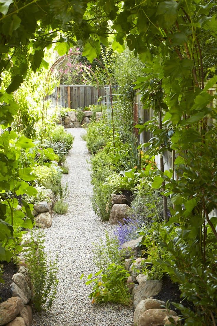 Vegetable garden with pathway down centre