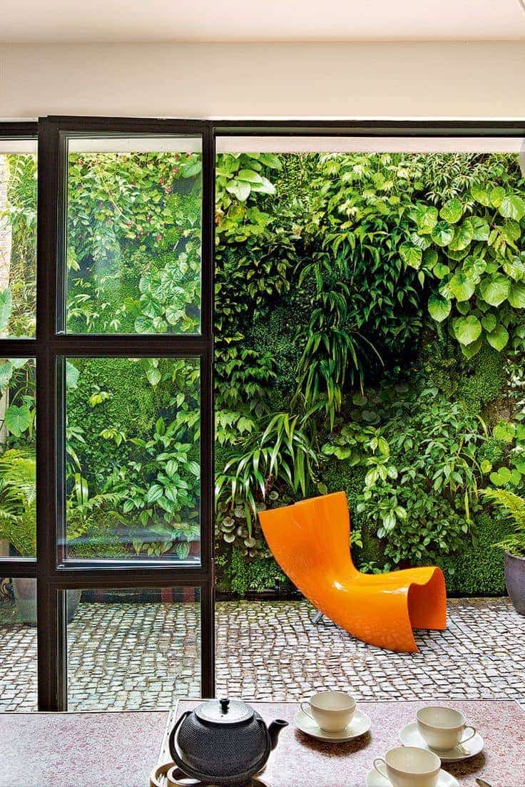 courtyard garden with green garden wall